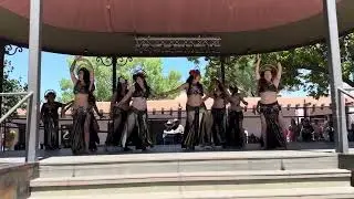 Bellyreena Alchemy and The Constellation Bellydancers