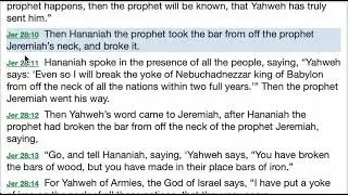 Jeremiah 28 Explained