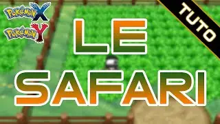 Tuto : Avoir des SHINY RAPIDEMENT avec le SAFARI DES AMIS + ajout code amis !
