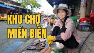 Khám Phá Cảng Cá Biển Bắc Đảo Phú Quốc, Hàng Tấn Cá Cập Bến Mỗi Ngày. Cuộc sống trên đảo Phú Quốc