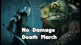 The Witcher 3 Wild Hunt - Toad Prince Boss Fight No Damage (NG+ Death March)