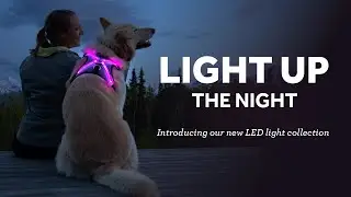 Nova LED Light Harness for Dogs