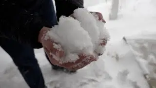 Iowa Winter Weather - January 2022 Snow Storm