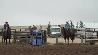 Roping.com: Drill for Calm Head Horses