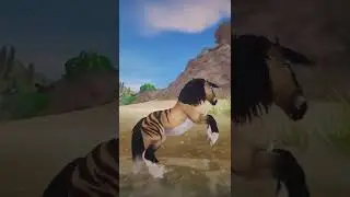 Jorvik Wild Horses - Sea Shanty