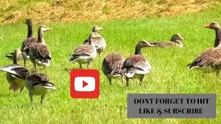 Gråsten Denmark  Tour [FILIPINA LIVING IN DENMARK]