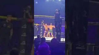 DALTON ZNOKAUTOWAŁ BAGIETE #shorts