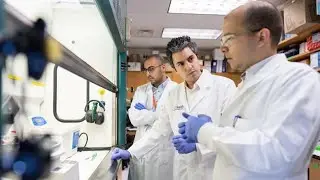 Scientists develop universal cancer vaccine
