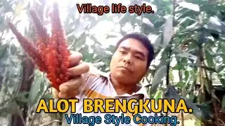ALOT BRINGA.// Village Style Cooking// do'me vlog