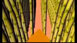 07 SUGARCANE HARVESTER