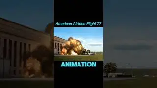 Plane crashes Animation vs Real life (Part 3) #shorts #viral #planecrash #Flight