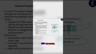 Understanding Osmosis: The Role of Aquaporins in Water Movement