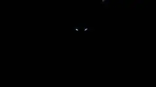 Pitch black in my bathroom, looking into the mirror 🪞 👻