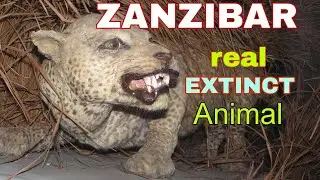 Extinct Animals That Might Still Be Alive 