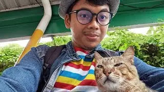 Liputan 
