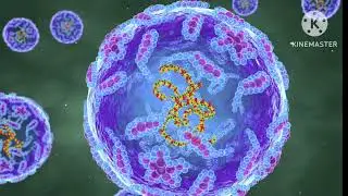 g9 extinction of plants, microorganisms,animals(multimedia presentation