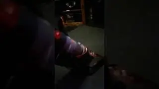 The dog that Hates the vacuum