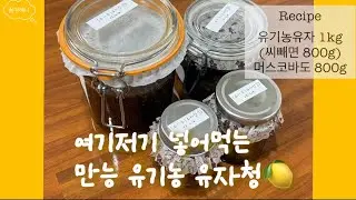 요리 차 등 다양하게 활용할 수 있는 만능 유기농 유자청  Multi-purpose yuzu preserve | 꿈꾸혜니