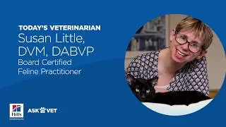 Ask A Veterinarian: Common Cat Urinary Problems