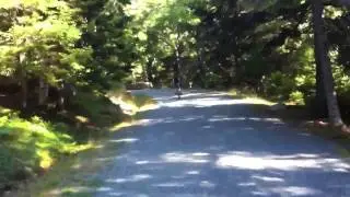 Carriage trail