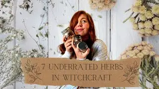 Underrated herbs in Witchcraft