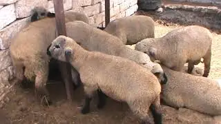 CABAÑA CASABLANCA 2019
