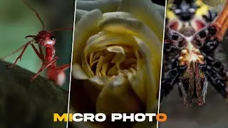 how to click micro photo | Mobile phone photo