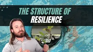The Structure of Resilience | A Neuro-Semantic NLP Perspective