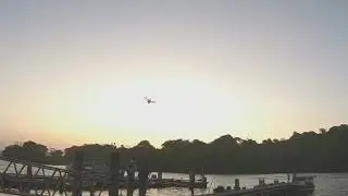 Can Drones Help Count Rainforest Animals?