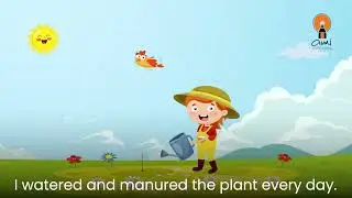 I love plants 