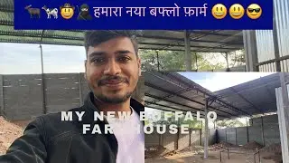 Mera New Buffalo 🐃 Farm// Buffalo farm Tyar //MilkMafiya 😎😎🥷🏻🥷🏻🤟🤟