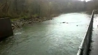 Tionesta dam outflow