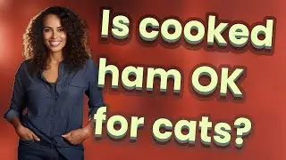 Is cooked ham OK for cats?