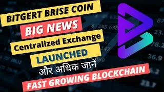 BITGERT | HUGE UPDATE GEM OF 2022 | BRISE BEST PROJECT TO INVEST