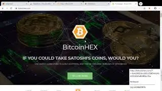 BitcoinHex | Referral program, free Bitcoinhex coins | How to install Metamask Wallet