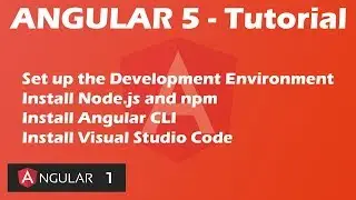 Angular 5 Tutorial - Development Environment - Install Node JS,NPM,Angular CLI,Visual Studio Code| 1