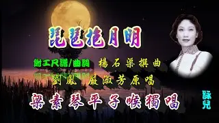 琵琶抱月明_梁素琴平子獨唱_附珍藏版工尺譜_曲詞留言區⬇️⬇️