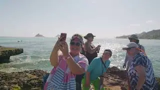 Guided Kayak Tour to Flat Island