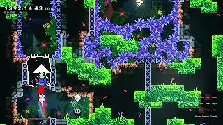 Celeste | Verdant City - Startup Contest 2021 | Full Clear Silver Strawberry