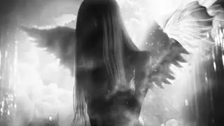 𝓜𝓪𝓰𝓷𝓮𝓽𝓲𝓬  𝓢𝓾𝓻𝓻𝓮𝓷𝓭𝓮𝓻:  𝓓𝓪𝓭𝓭𝔂  𝓐𝓽𝓽𝓻𝓪𝓬𝓽𝓲𝓸𝓷 🧸⛓️