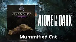ALONE IN THE DARK _ mummified cat _ chat momifi&eacute;