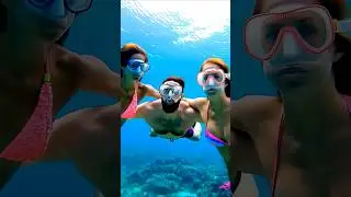 Underwater friendship in July 12, 2025