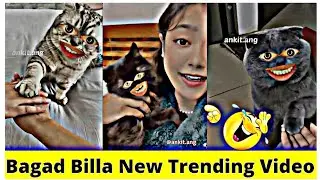 bagad billa comedy video |bagad billa full gali|2023 new  bagad billa funny memes |#dankmemes #memes