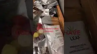 CBD Gummies