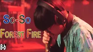 SO-SO - Forest Fire