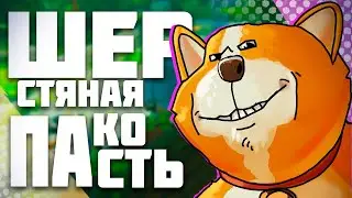 Party animals - Лучшая среди лучших [ обзор ]