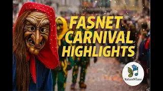 INSANE German Carnival! Fasnet Freiburg 2025 Highlights from my last video