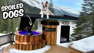 I Built a Dog House for Every Season /// FREE Plans