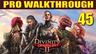 Прохождение Divinity: Original Sin 2, часть 45 &mdash; Как заставить всех Искателей сразиться с епископ...