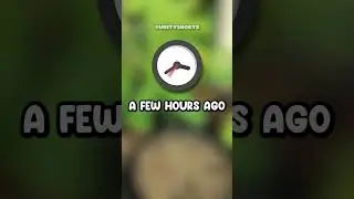 MOST DANGEROUS VEGETABLE 💀🥑